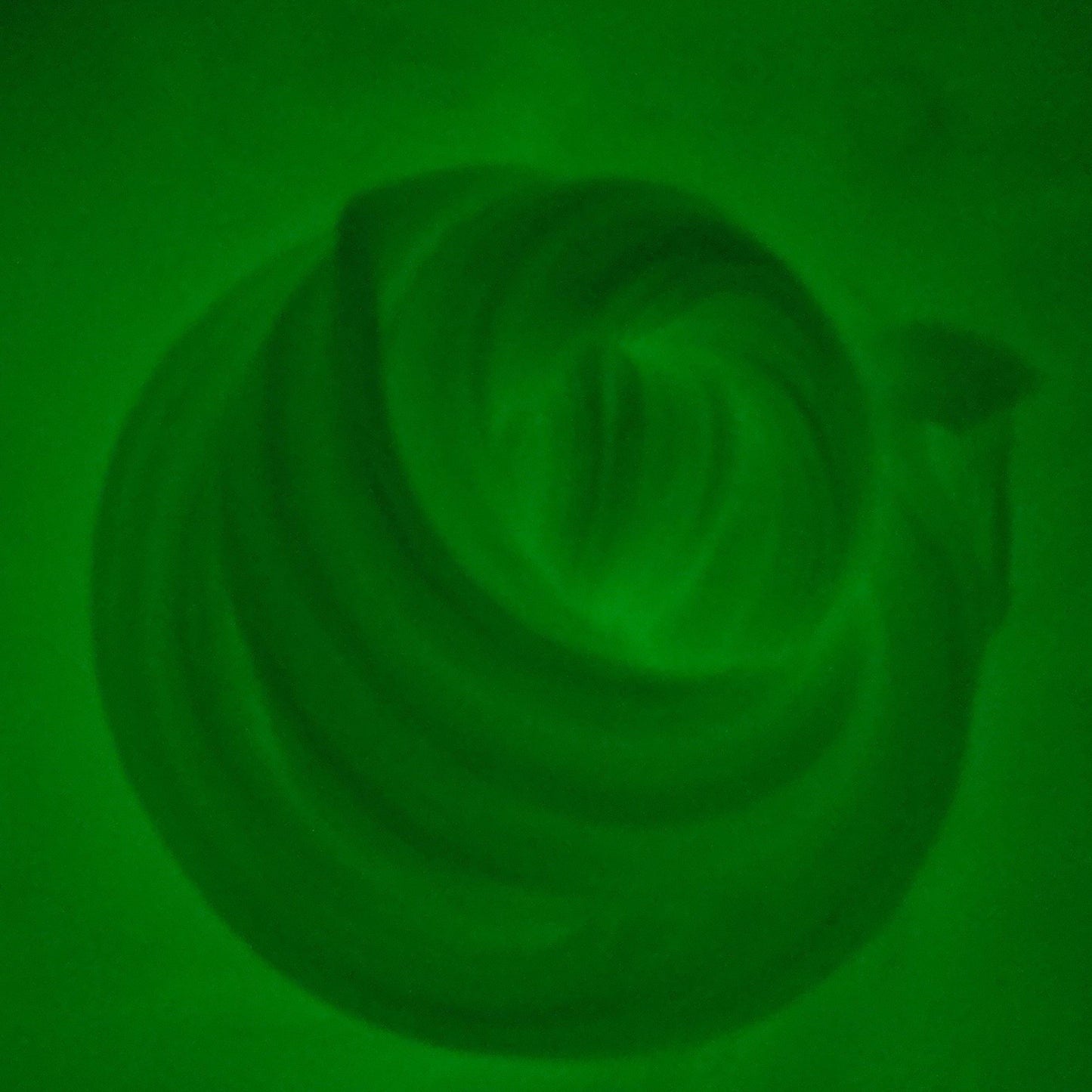 Glow in the Dark Slime - lil Shizz