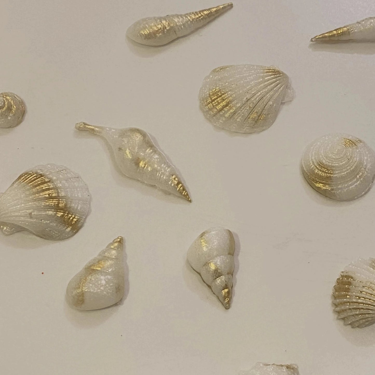 Sally Sells Sea shells